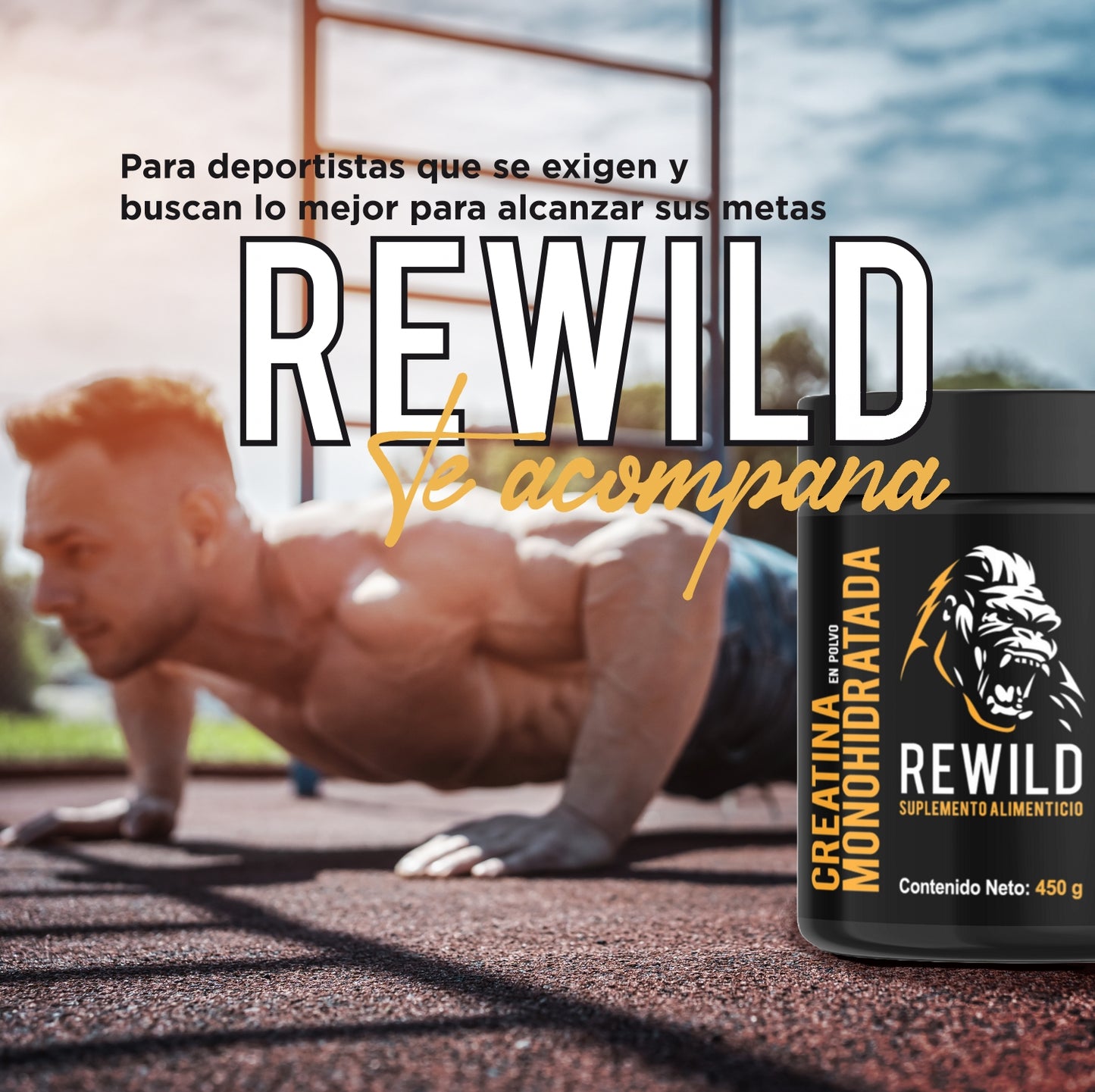 CREATINA MONOHIDRATADA REWILD 450G-90 PORCIONES