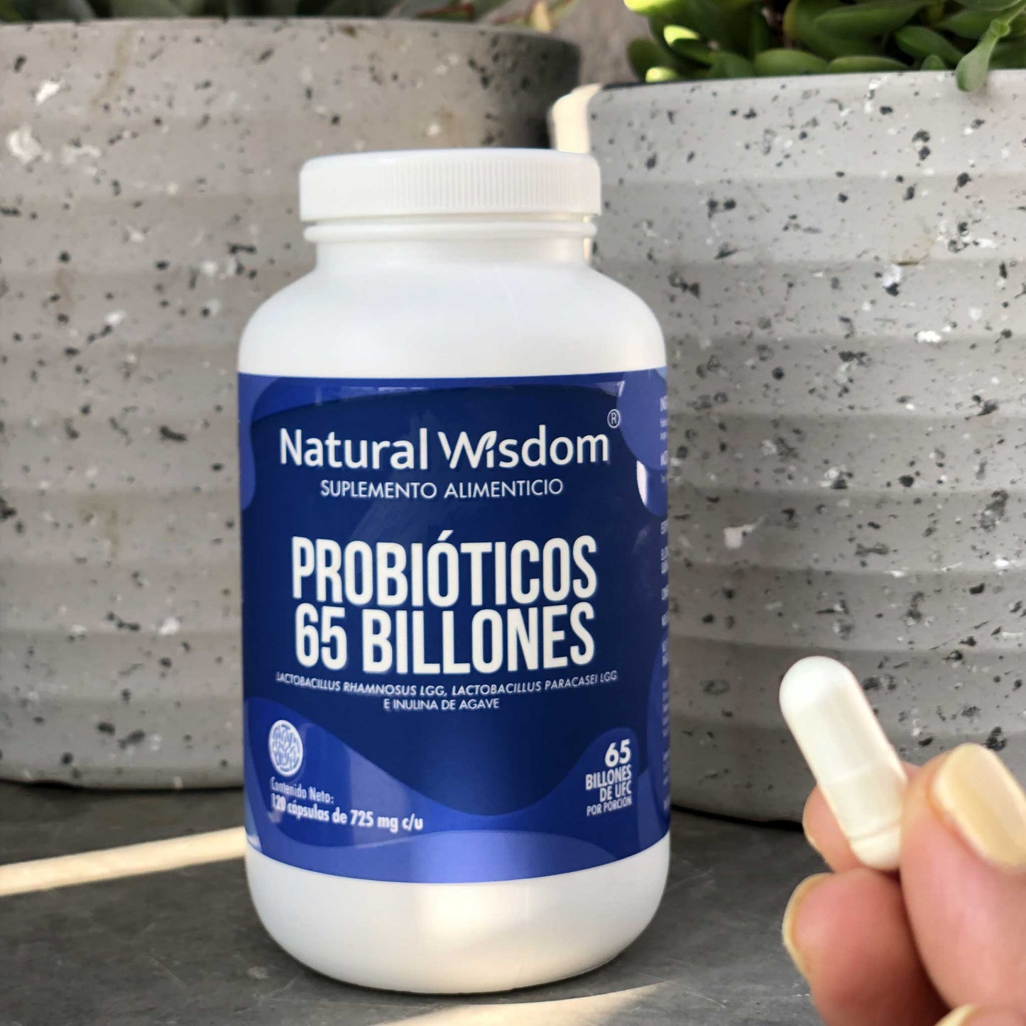 Probióticos 65 Billones