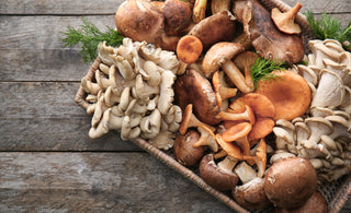Los Famosos Mushrooms (Hongos Medicinales)