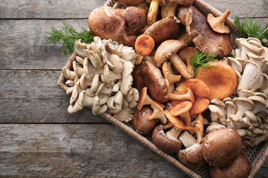 Los Famosos Mushrooms (Hongos Medicinales)