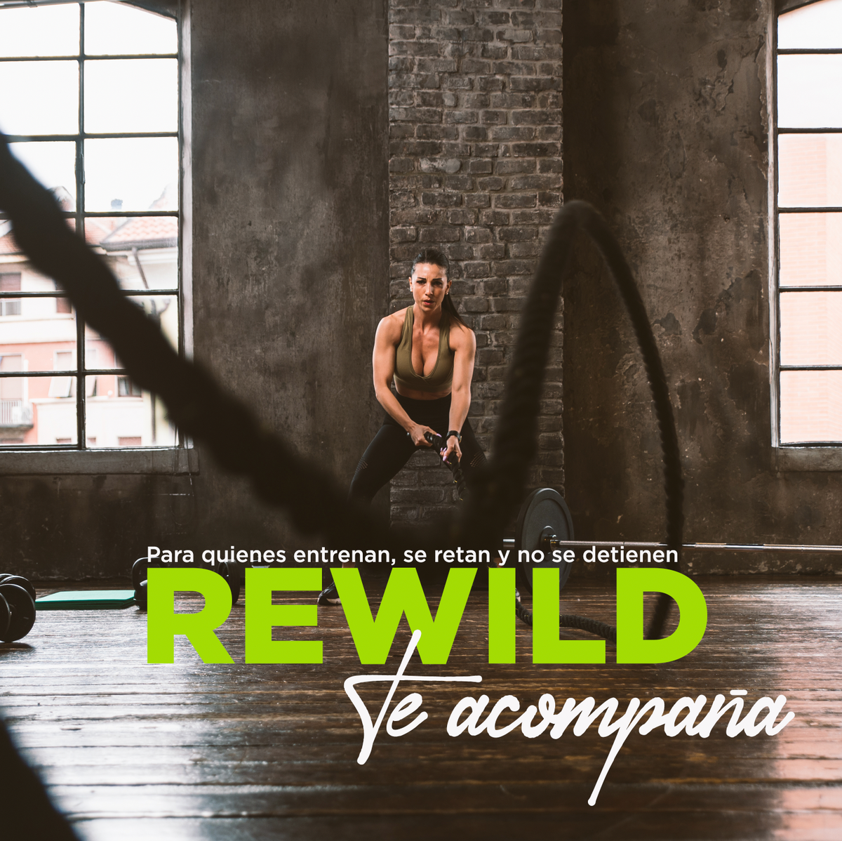 PROTEINA VEGETAL REWILD CHOCOLATE 675G