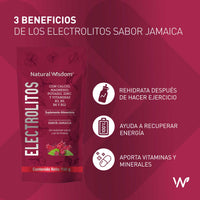 Electrolitos Electro - Fresh Sabor Jamaica