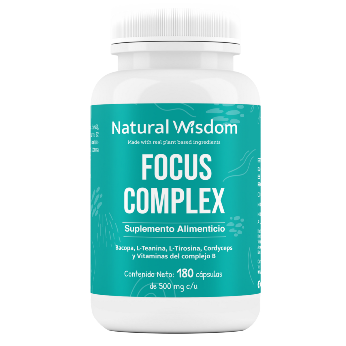 Focus Complex
