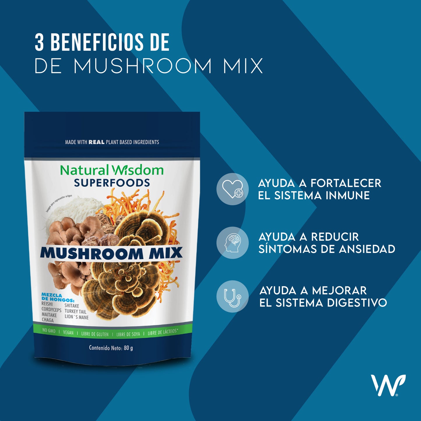 Mushroom Mix en Polvo 80 g
