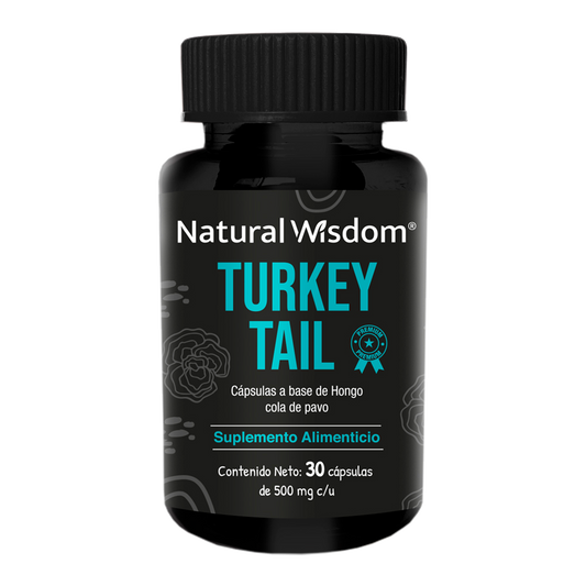 Turkey Tail Mushroom