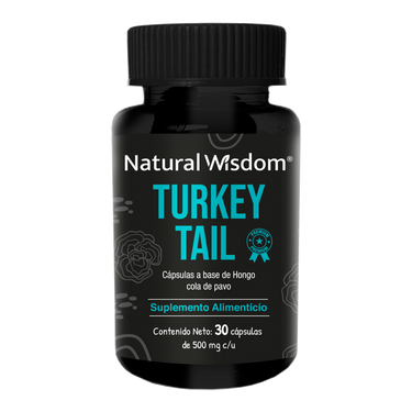 Turkey Tail Mushroom