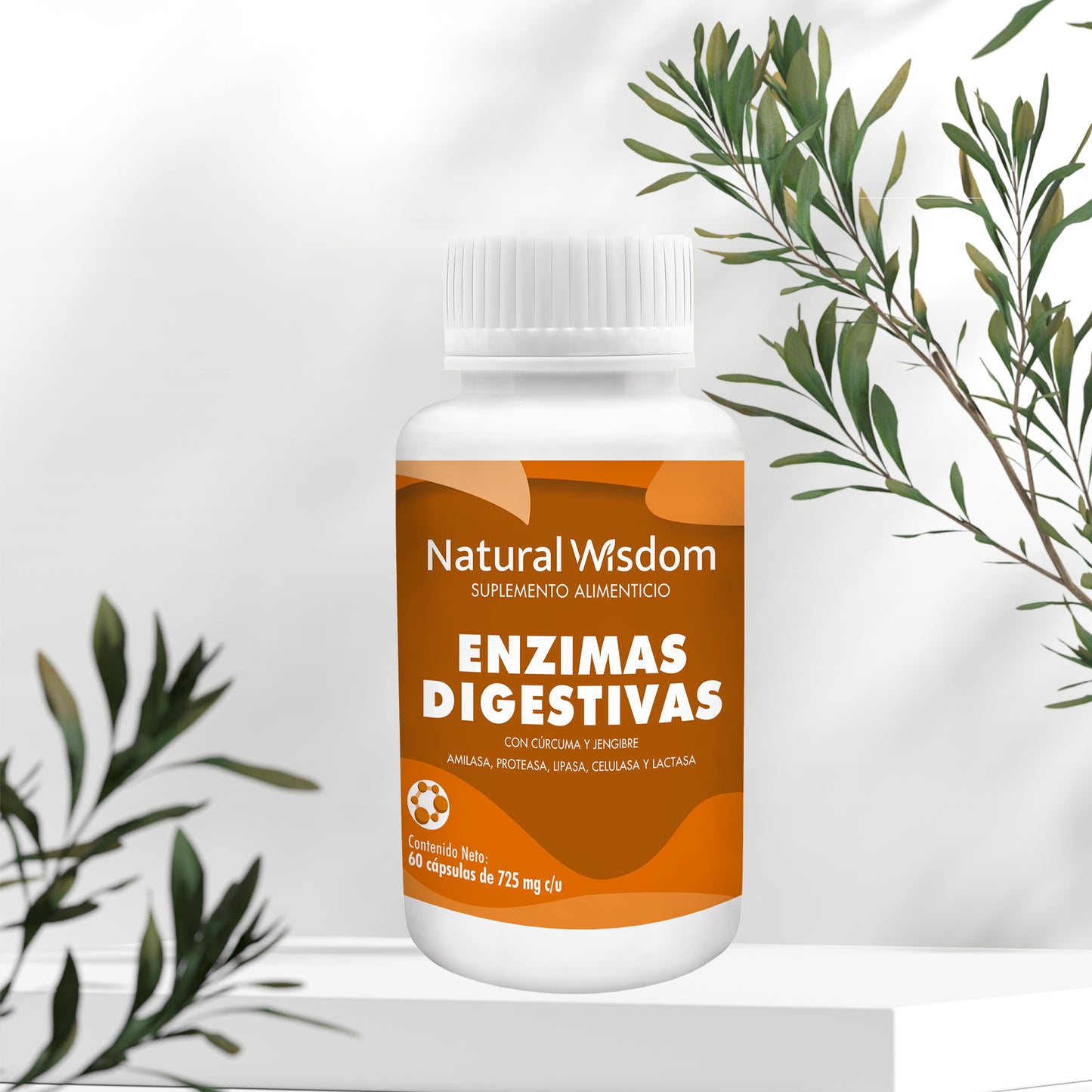 Enzimas Digestivas